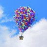 up profil fotoğrafı