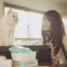 カメラ猫ウメオ's profile picture