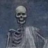 Le Van Blanc's profile picture