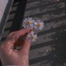 رَنِيْمْ🌻's profile picture