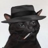 Profilbild von Alejandro