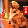 CMP-MD's profile picture