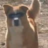 Profilbild von Serchh