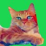 👑きゃわわん(๐ ́꒪̐ꈊ͒꒪̐o)ꐳぬっこは神✨'s profile picture