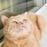 Sanem's profile picture