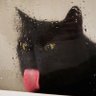ligthhero's profile picture
