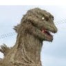 @ profil fotoğrafı
