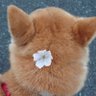 Ken.Ken.'s profile picture