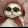 لين's profile picture