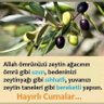 Фото профиля Şahin Bey