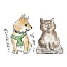 Фото профиля 柴犬🐕ろく