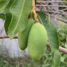 Фото профиля พอเพียง ก็เพียงพอแล้ว