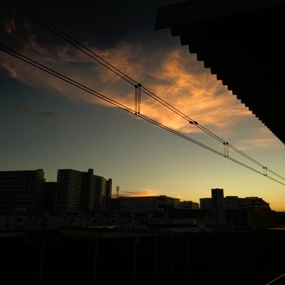 Shinaga58734933's profile picture