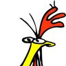American_Pollo's profile picture