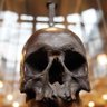 🏴☠️Störtebeker🏴☠️ profil fotoğrafı