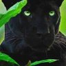 (Myrtle) profil fotoğrafı