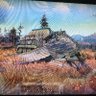 Фото профиля Zonamy