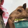 A's profile picture