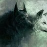Mete_Berk's profile picture