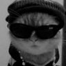 MOD 𝕏's profile picture