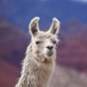 Eric Ruleman's profile picture