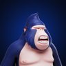 Robby Sol's profile picture