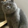 Profilbild von 姜子牙电鱼
