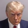 🇺🇸Free Patriot 🇺🇸 profil fotoğrafı