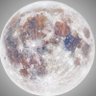 AltcoinArtisan 🗽🇺🇸 profil fotoğrafı