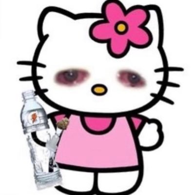 pihighscesgorl's profile picture
