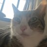Profilbild von Marcos