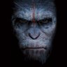 Jr's profile picture