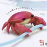 すべ's profile picture