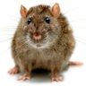 Profilbild von Torben-Hendrik Frosch