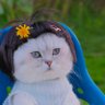 Who-Destiny's profile picture