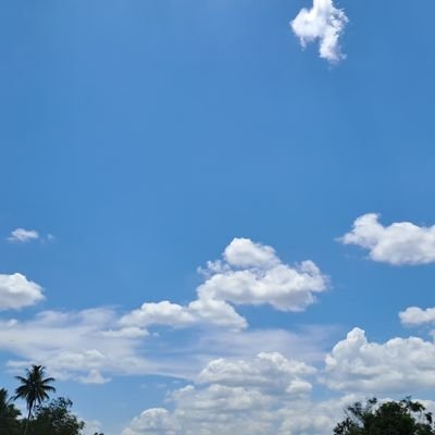 rarazrzr's profile picture