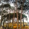 Фото профиля DARAA