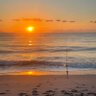 Фото профиля Jax Beach Refugee