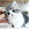 Eqbal profil fotoğrafı