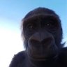 Leonardo Hinojosa's profile picture