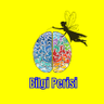 Bilgi Perisi profil fotoğrafı