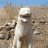 Weird Statue Account profil fotoğrafı