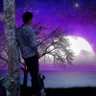 jimmy willson profil fotoğrafı
