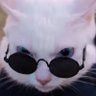 Profilbild von Donate to KARMA of KEMU | my reply to hate is love