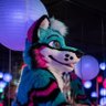 Profilbild von Kupafolf 🔜 FWA