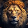 Фото профиля viddalo 🦁⚡️