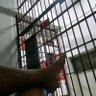 Drama Bahan Bakar Neraka 的头像