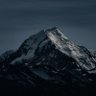 cargo 🗻's profile picture