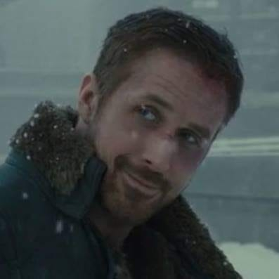 tulpapilled's profile picture