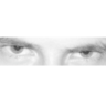 alex's profile picture